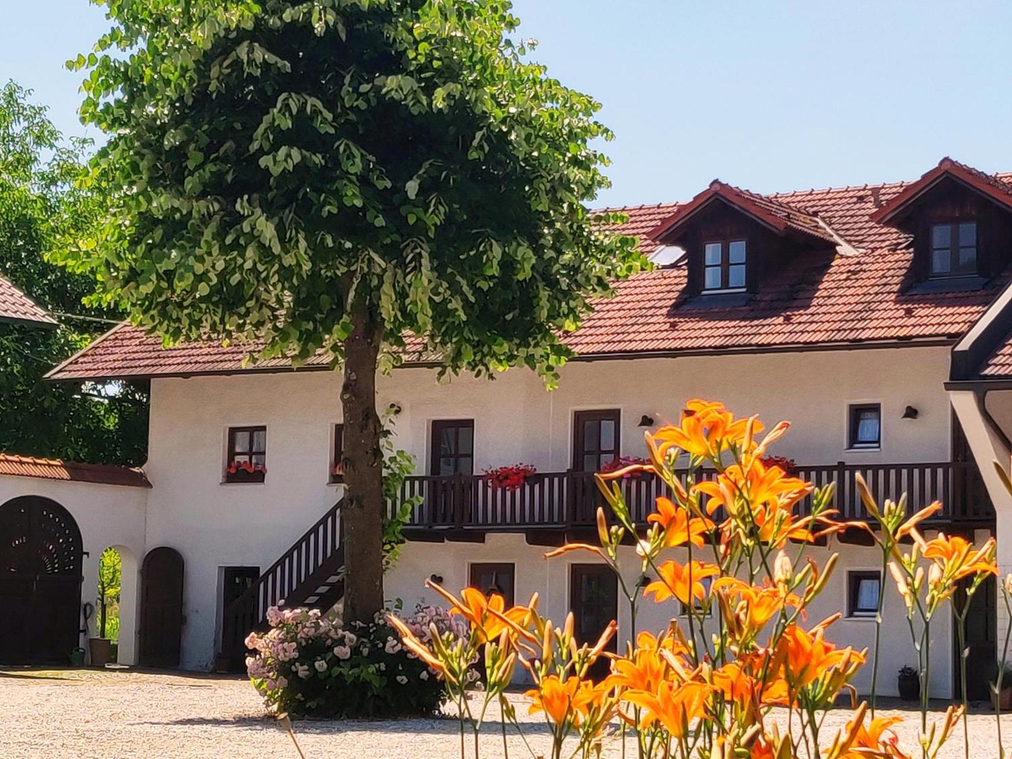 Pension Margaretenhof Bayerbach Zewnętrze zdjęcie